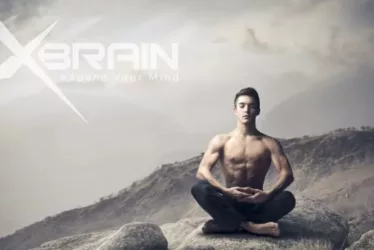 How Alpha Brain Instant Optimizes You 6 alpha brain instant optimizes you to jpg
