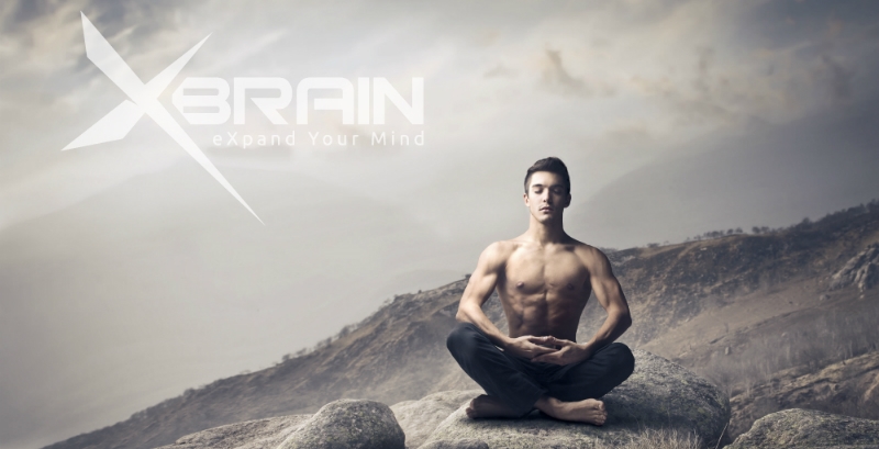 alpha brain instant optimizes you to