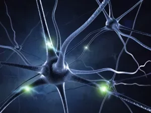Alpha Brain Review: Are You Ready To Get On Board The Smart Drug Train? Try Alpha Brain! 7 iStock 000014137482XSmall 49 jpg webp