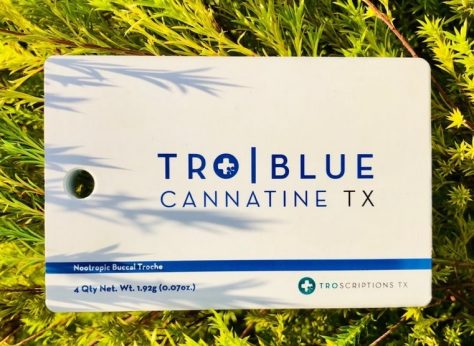 blue cannatine jpg webp