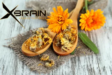 Onnit Healing Salve 3 Calendula for Healing 2519 jpg