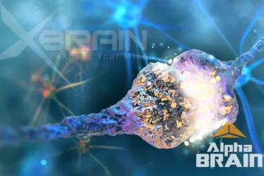 Everything You Need to Know about Onnit Alpha Brain 2 Onnit Alpha Brain - Top Brain Health Supplement