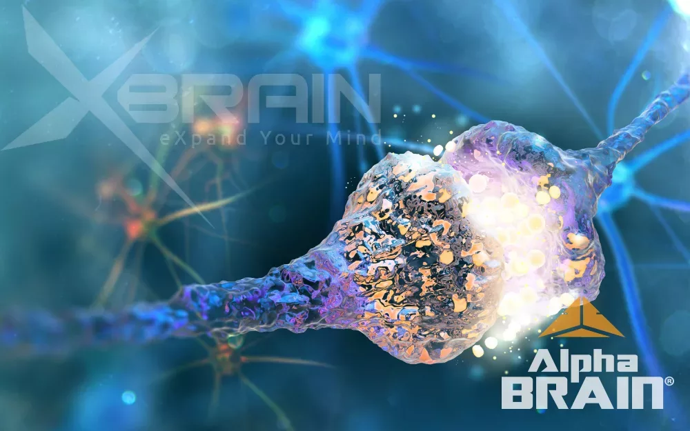 Onnit Alpha Brain - Top Brain Health Supplement