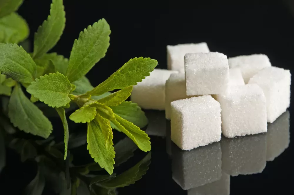 Aspartame vs Stevia Health Risks & More XBrain