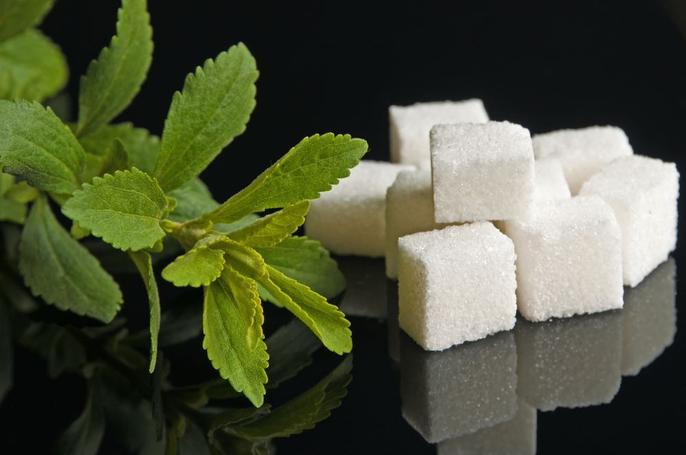 Aspartame vs Stevia Health Risks & More XBrain