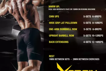 back workout 2 jpg