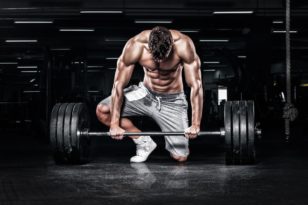 No Nonsense Shredded Diet Plan: The #1 Ultimate Guide to Achieving Your Fitness Goals 1 No Nonsense Shredded Diet Plan