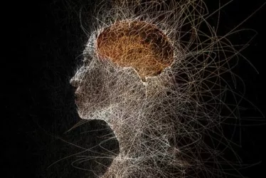 Neurohacker's Methods for Cognitive Optimization: Unlocking Your Mental Potential