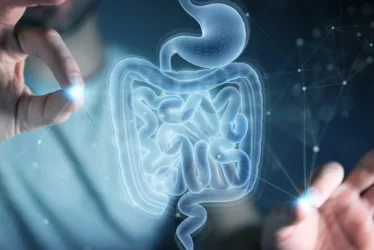 Discover the Power of Digestive Enzymes: Enhance Your Digestion 8 Digestive enzymes breaking down food